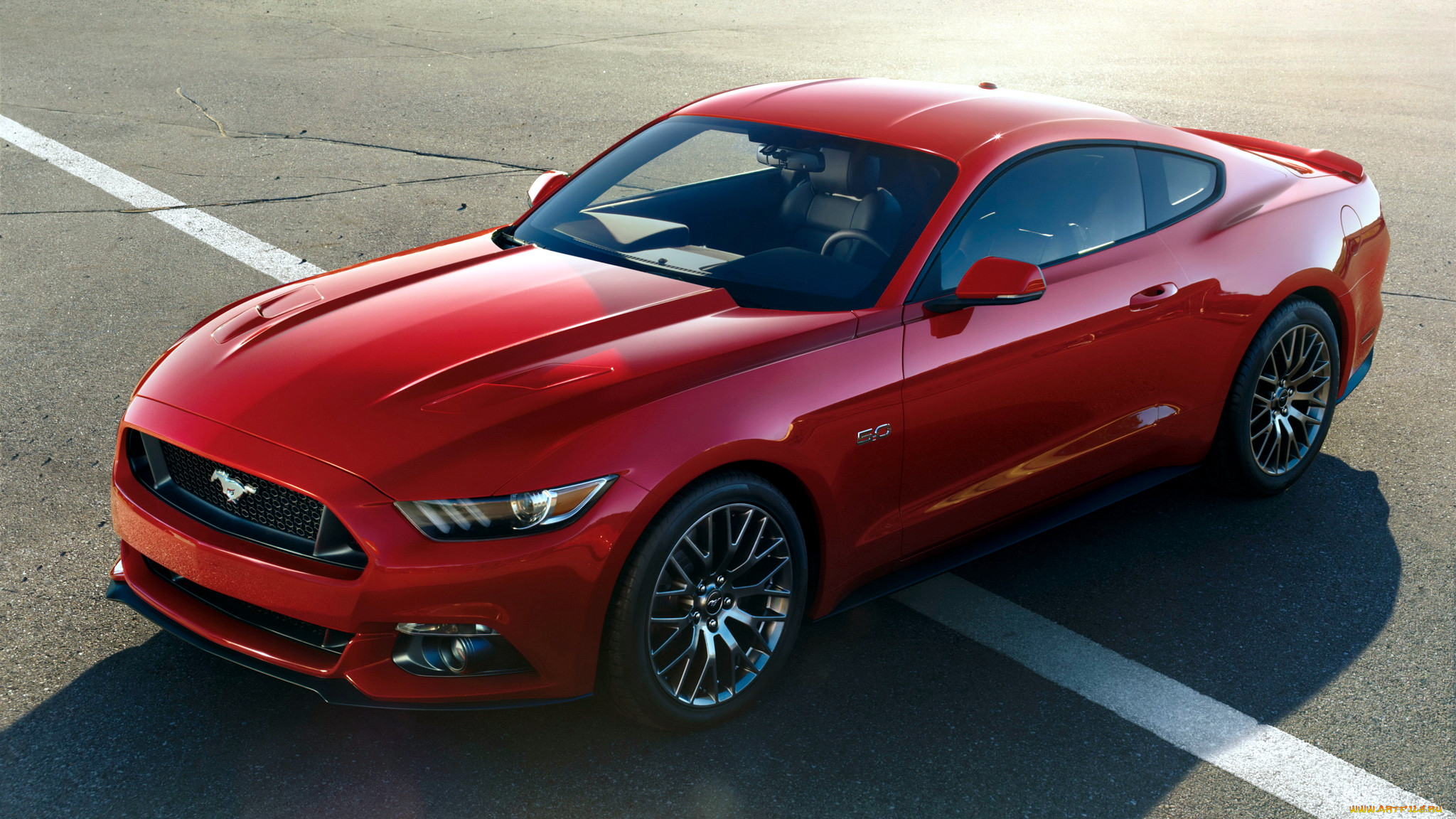 ford mustang, , mustang, ford, motor, company, , , 